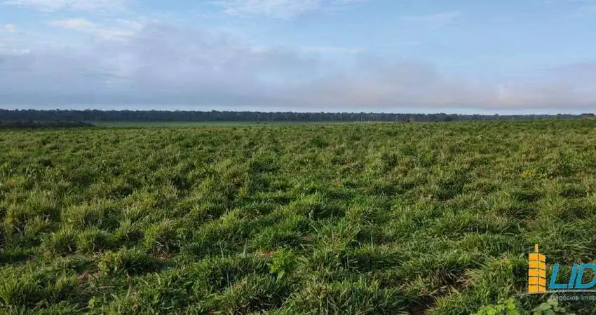 Fazenda à venda, AREA RURAL DE MARCELANDIA - MT - Marcelândia/MT