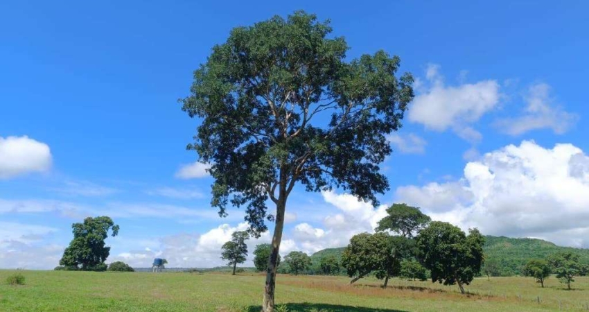 Fazenda à venda, Área Rural de Paranaiguara - PARANAIGUARA/GO