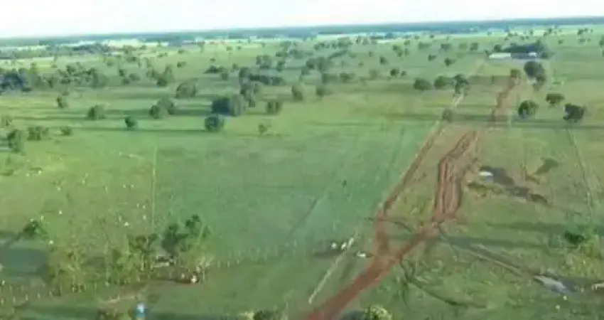 Fazenda à venda, AREA RURAL DE SAO FELIX DO ARAGUAIA - MT - São Félix do Araguaia/MT
