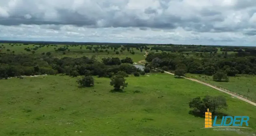 Fazenda à venda, AREA RURAL DE FORMOSO DO ARAGUAIA - TO - Formoso do Araguaia/TO