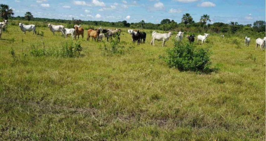 Fazenda à venda, Área Rural de João Pinheiro - João Pinheiro/MG
