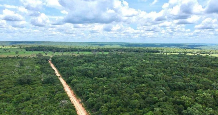 Fazenda à venda, AREA RURAL DE SANTA RITA DE CASSIA - BA - Santa Rita de Cássia/BA