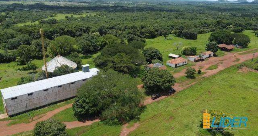 Fazenda à venda, AREA RURAL DE CONCEIÇÃO DO TOCANTINS - TO - Conceição do Tocantins/TO