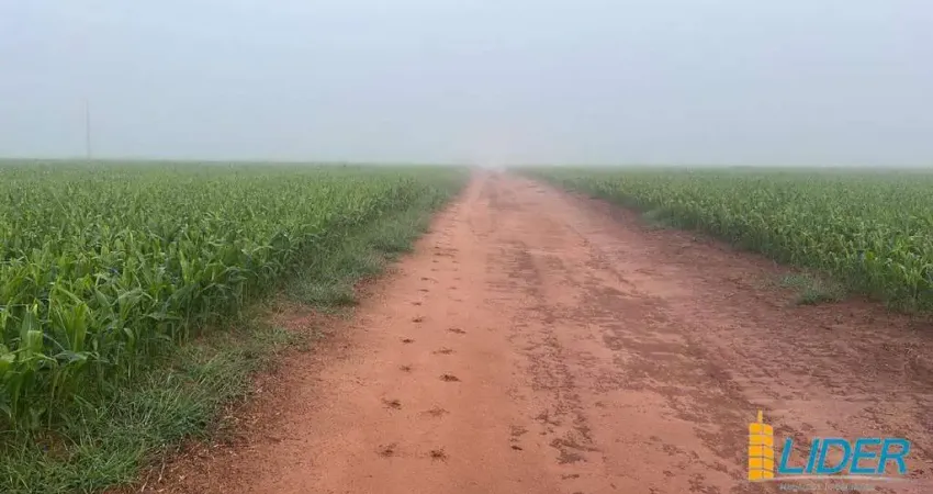 Fazenda à venda, ÁREA RURAL DE UBERLÂNDIA - Uberlândia/MG