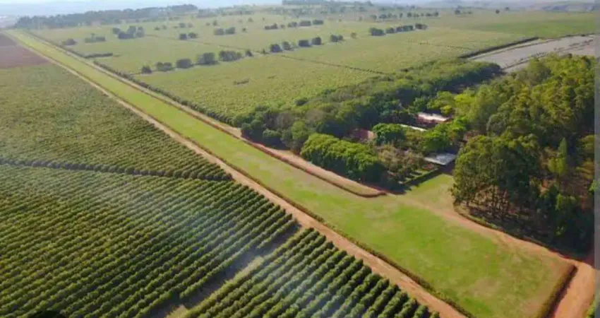 Fazenda à venda, AREA RURAL DE SÃO GOTARDO - MG - SAO GOTARDO/MG