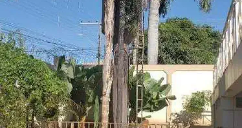 Casa com 4 quartos para alugar na Rua dos Canarinhos, Cidade Jardim, Uberlândia