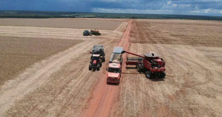 Fazenda à venda, ÁREA RURAL DE UBERLÂNDIA - Uberlândia/MG