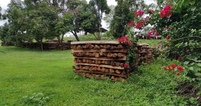 Fazenda à venda, AREA RURAL DE PERDIZES - MG - Perdizes/MG