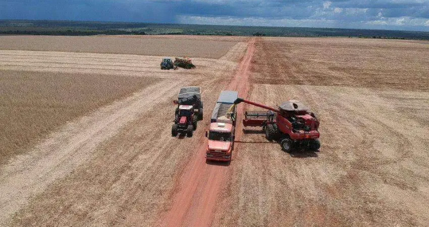 Fazenda à venda, AREA RURAL DE IBIA - MG - IBIÁ/MG
