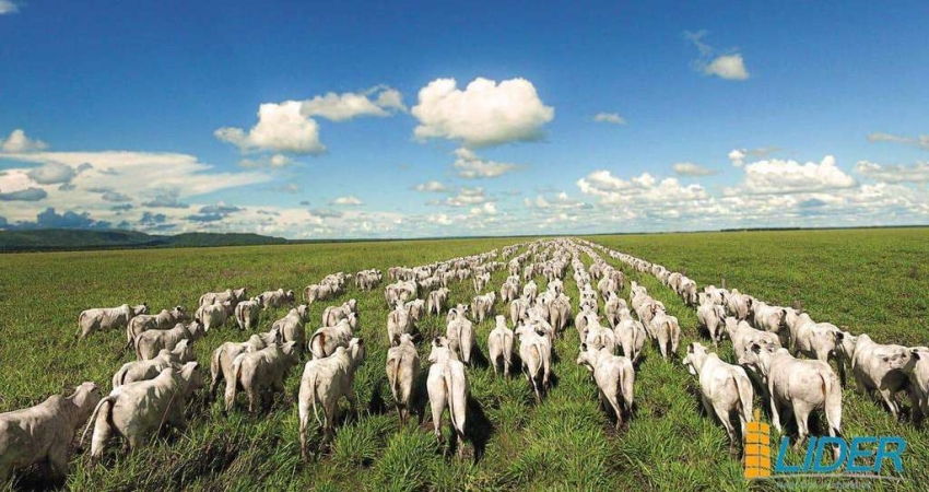 Fazenda à venda, AREA RURAL DE FLORES DE GOIAS - GO - Flores de Goiás/GO