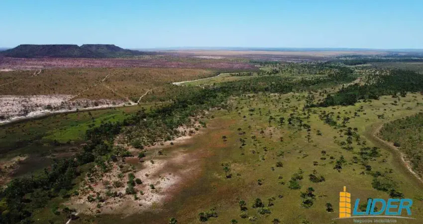 Fazenda à venda, AREA RURAL DE RIO DA CONCEIÇÃO - TO - Rio da Conceição/TO