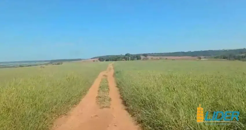 Excelente Fazenda dupla aptidão com 411,40 hectares à venda próxima a Uberlândia/MG