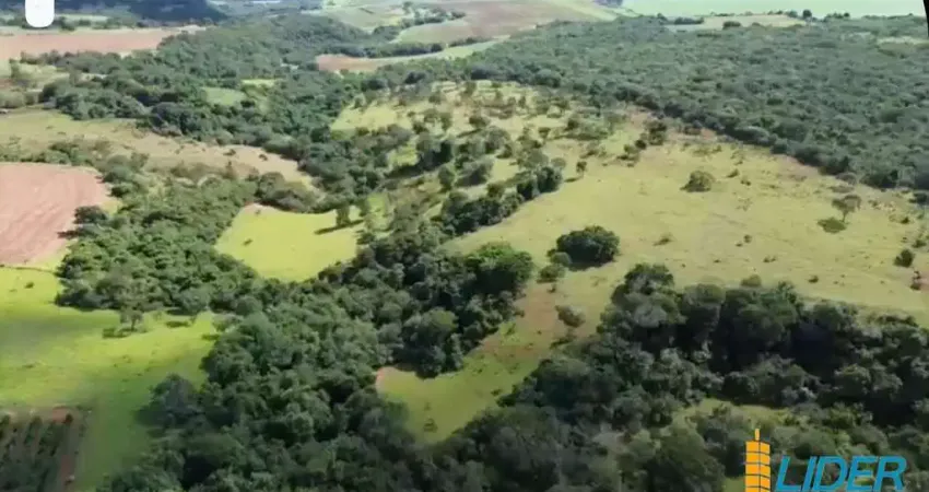 Excelente fazenda dupla aptidão com 125 hectares à venda no município de Araguari - MG
