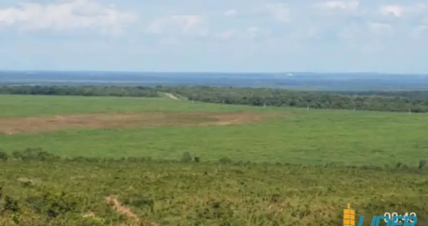 Excepcional fazenda dupla aptidão com 8.000 hectares e muito bem estruturada à venda em Balsas/MA