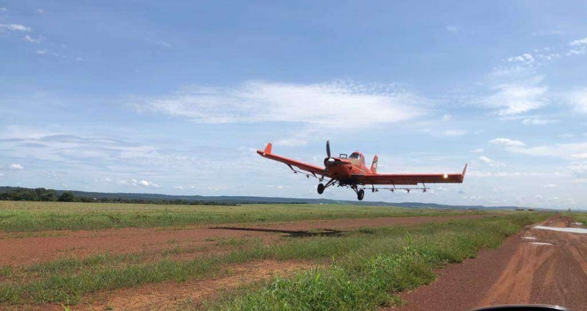 Excepcional fazenda dupla aptidão com 17.500 hectares à venda próxima a Água Boa/MT
