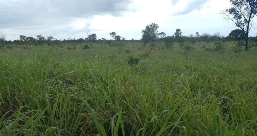 Excelente fazenda com 9680 hectares à venda no município de Almas/TO