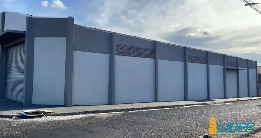 Casa para alugar na Avenida Terezina, Brasil, Uberlândia