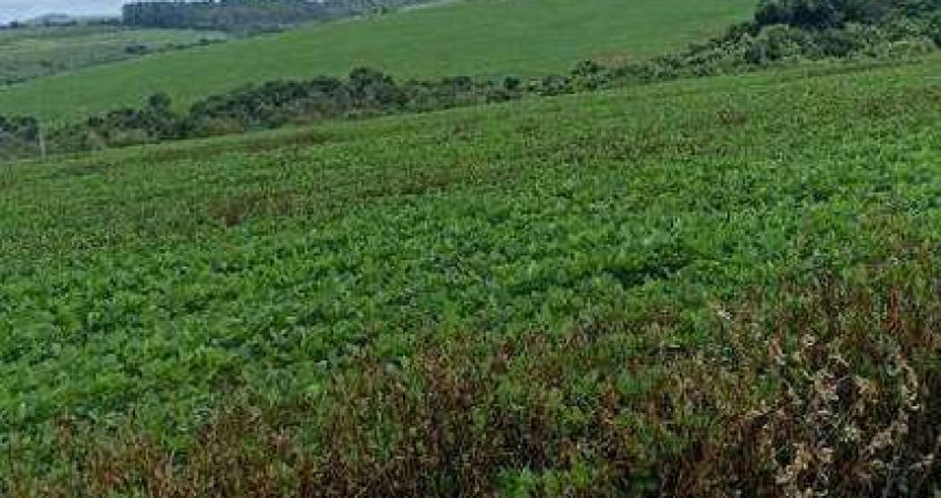 Excelente fazenda com 384 hectares à venda em Ibiá - MG