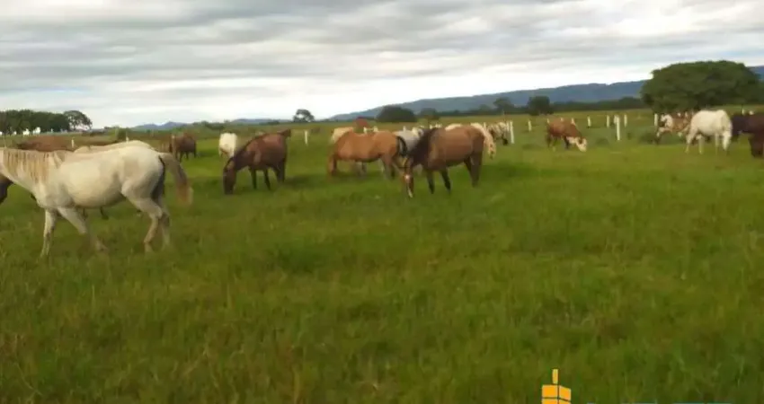 Excepcional fazenda dupla aptidão com 5.178 hectares, super estruturada à venda 'porteira fechada' em formosa - go