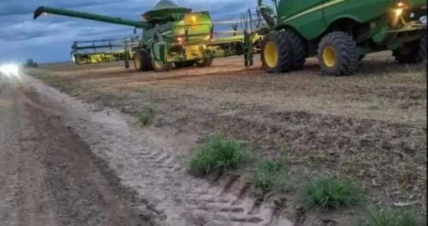 Fantástica fazenda super produtora de grãos com 62.417 hectares e estrutura completa à venda em baixa grande do ribeiro - pi