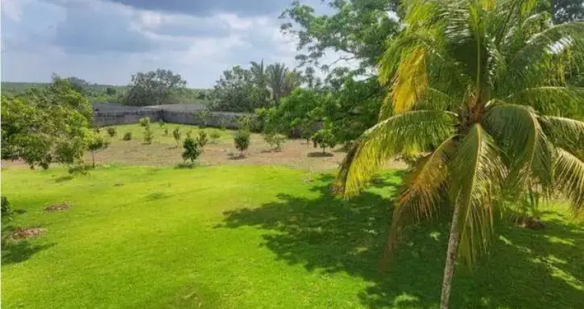 Excelente fazenda dupla aptidão com 750 hectares e boas estruturas à venda em santa rita - ma