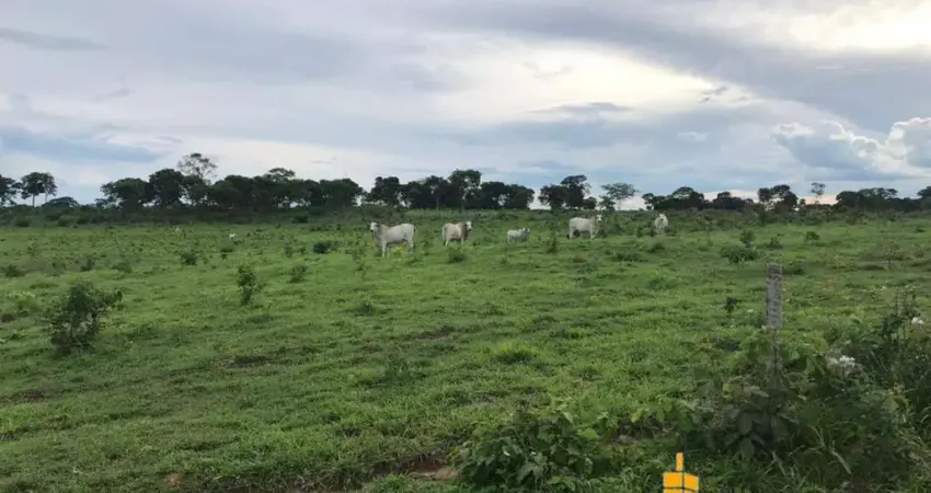 Excelente fazenda dupla aptidão com 170 hectares à venda em uberlândia, sentido uberaba - mg