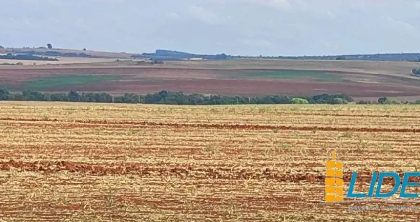 Excepcional fazenda com 872 hectares e alto índice de produtividade à venda em cabeceiras - go