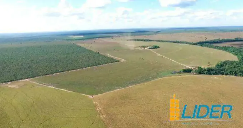Excepcional fazenda dupla aptidão com 17.000 hectares à venda na região norte do matopiba tocantins