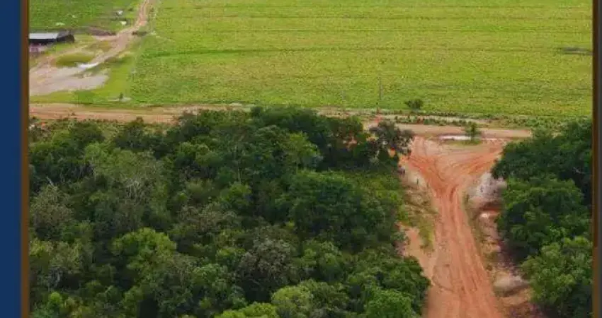 Excepcional fazenda dupla aptidão com 12.000 hectares e estrutura completa à venda em colinas do tocantins - to
