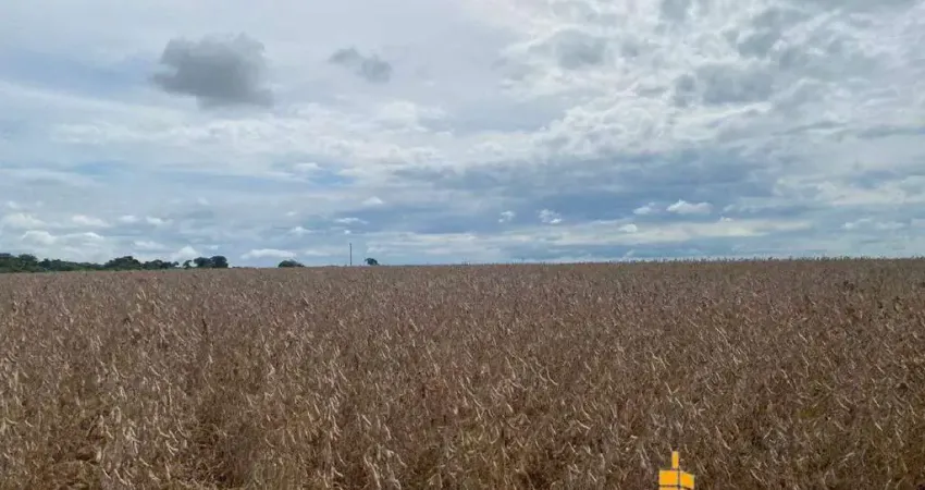 Chácara / sítio à venda na ZONA RURAL, Zona Rural, Paraúna