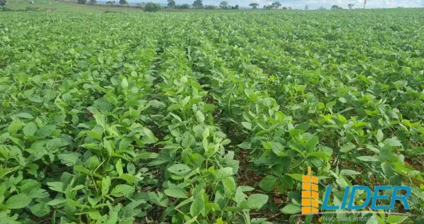 Fazenda à venda, area rural de patos de minas - mg - patos de minas/mg