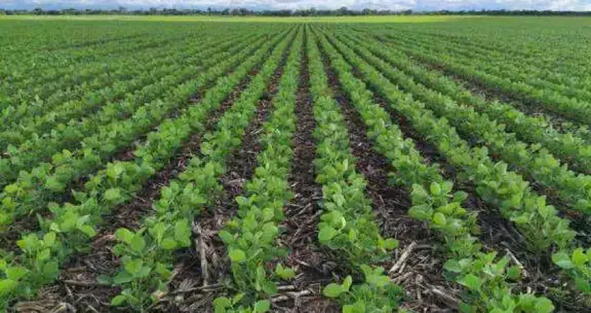 Fazenda à venda, Área Rural de Lagoa Grande - Lagoa Grande/MG