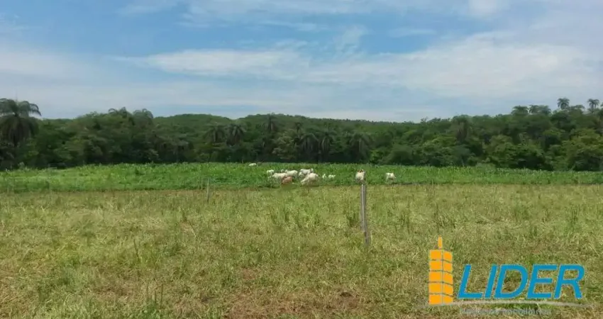 Fazenda à venda, AREA RURAL DE SAO GONÇALO DO ABAETE - MG - SAO GONCALO DO ABAETE/MG