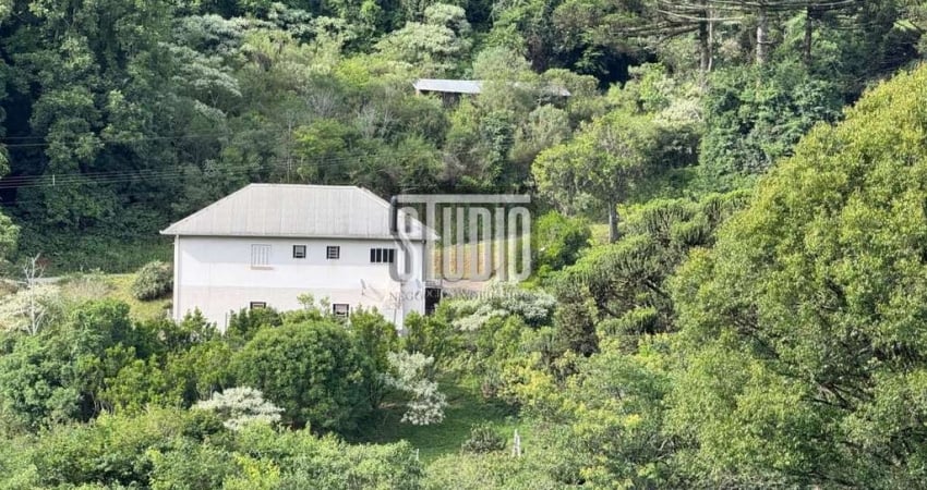 Chácara / sítio com 4 quartos à venda na Estrada Santa Luiza, SN, Linha Muller, Carlos Barbosa