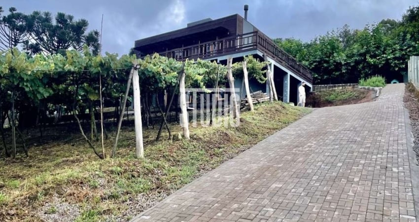 Casa com 5 quartos à venda no Vale dos Vinhedos (Distrito), Bento Gonçalves 