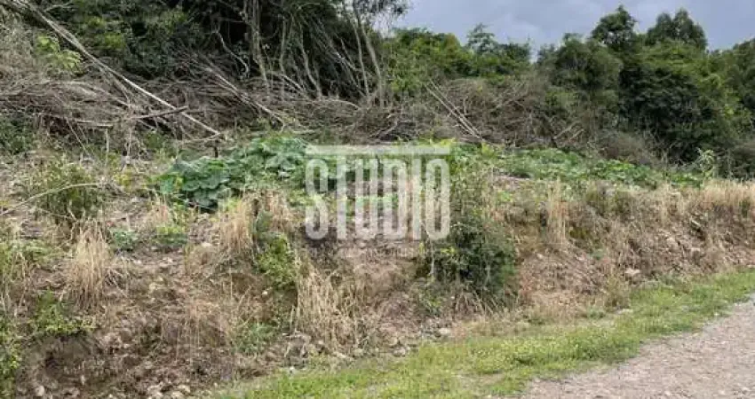 Terreno à venda na Linha 12, Carlos Barbosa 