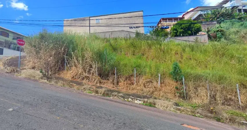 Terreno à venda na Rua Doutor Lourival Sotto Maior, Quintas das Avenidas, Juiz de Fora
