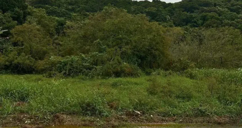 Terreno à venda na Pedra Gema, 654, Mariscal, Bombinhas