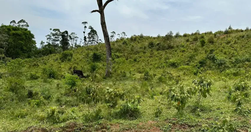 Terreno à venda na Rua José Prianti Sobrinho, Boa Vista, Igaratá
