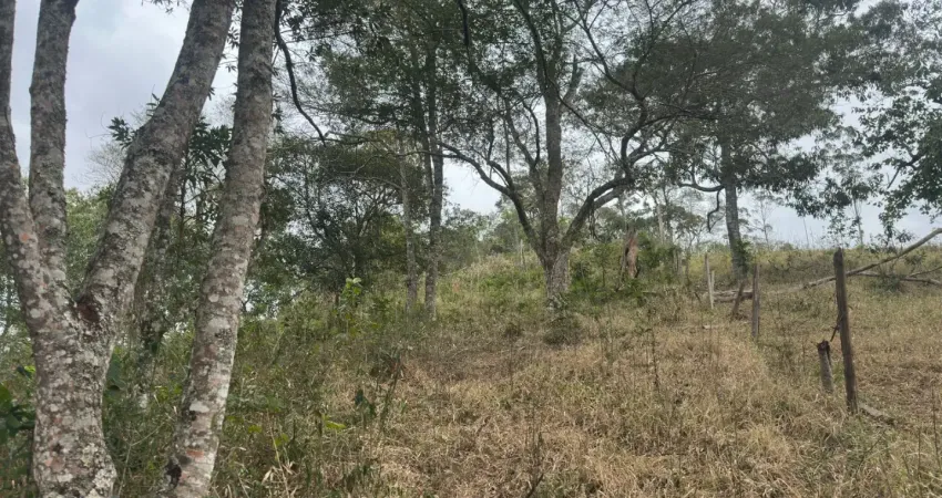 Terreno para chácara com excelente topografia ideal para construção de chácara