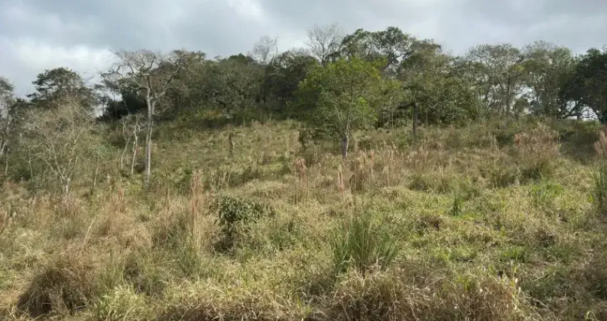 Vende-se lote com excelente topografia liberado para construção