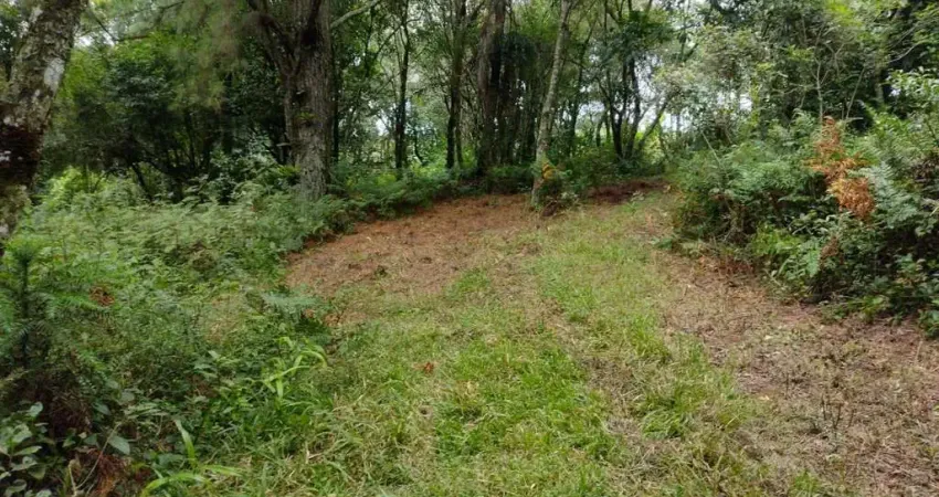 Terreno à venda na Arroio Grande, 1200, Morro da Borússia, Osório