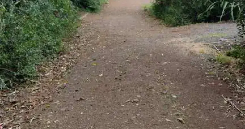 Terreno à venda na Arroio Grande, 1200, Morro da Borússia, Osório