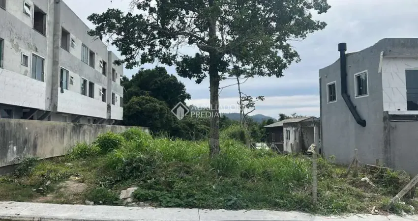 Terreno comercial à venda na Servidão Vicentina Custódia dos Santos, 59, Ingleses do Rio Vermelho, Florianópolis