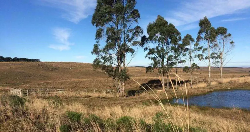Fazenda à venda na Getúlio Vargas, 937, 0001, Centro, Cambará do Sul