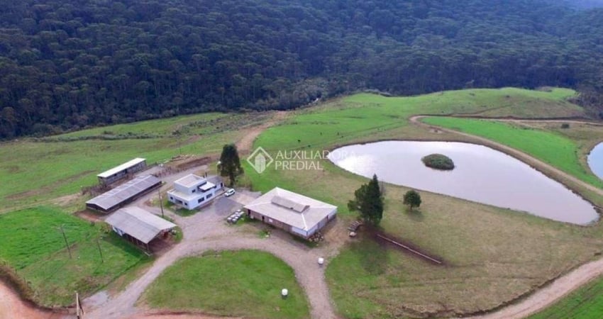 Fazenda à venda na Rs020, 1207, Centro, Cambará do Sul