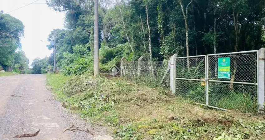Terreno à venda na São Gotardo, 45, São Bernardo, São Francisco de Paula