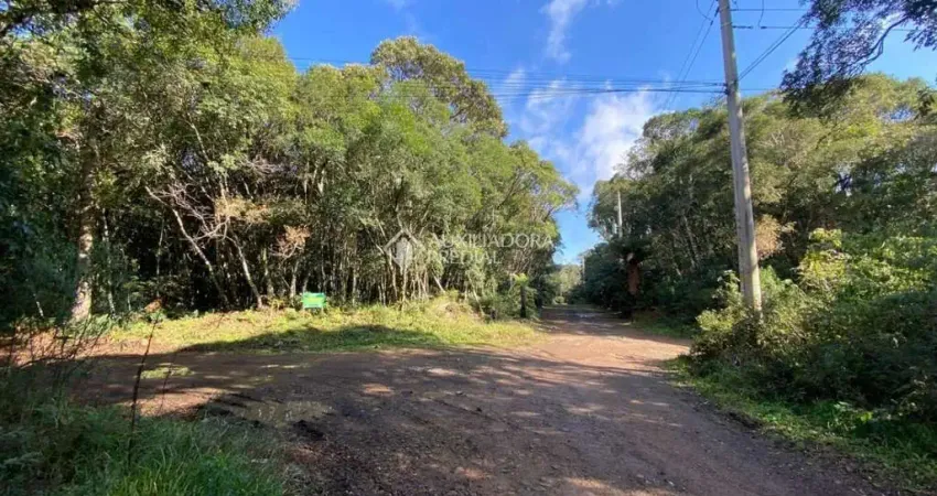 Terreno à venda na Quatis, 100, Colinas, São Francisco de Paula