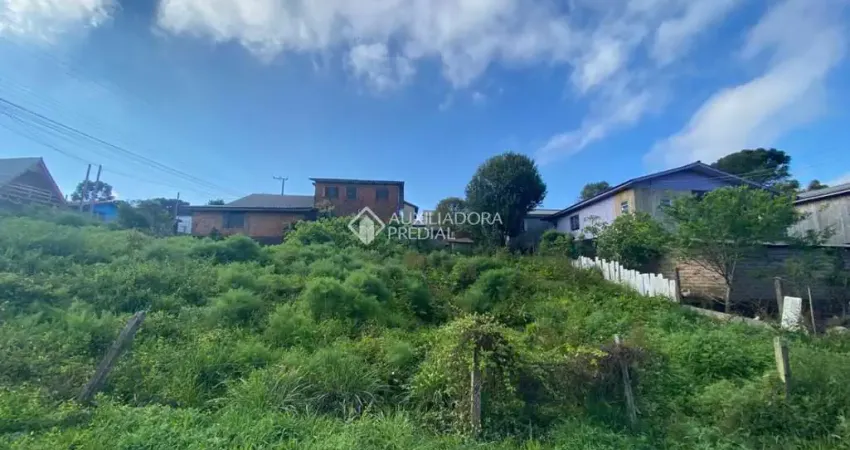 Terreno à venda na Paraguai, 101, Rincão dos Kroeff, São Francisco de Paula