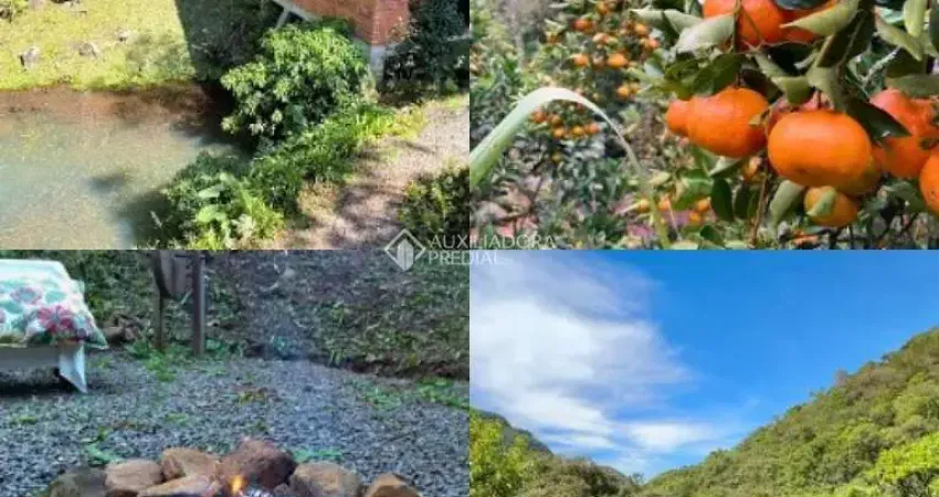 Fazenda à venda na Roça Nova, 100, Samambaia, São Francisco de Paula